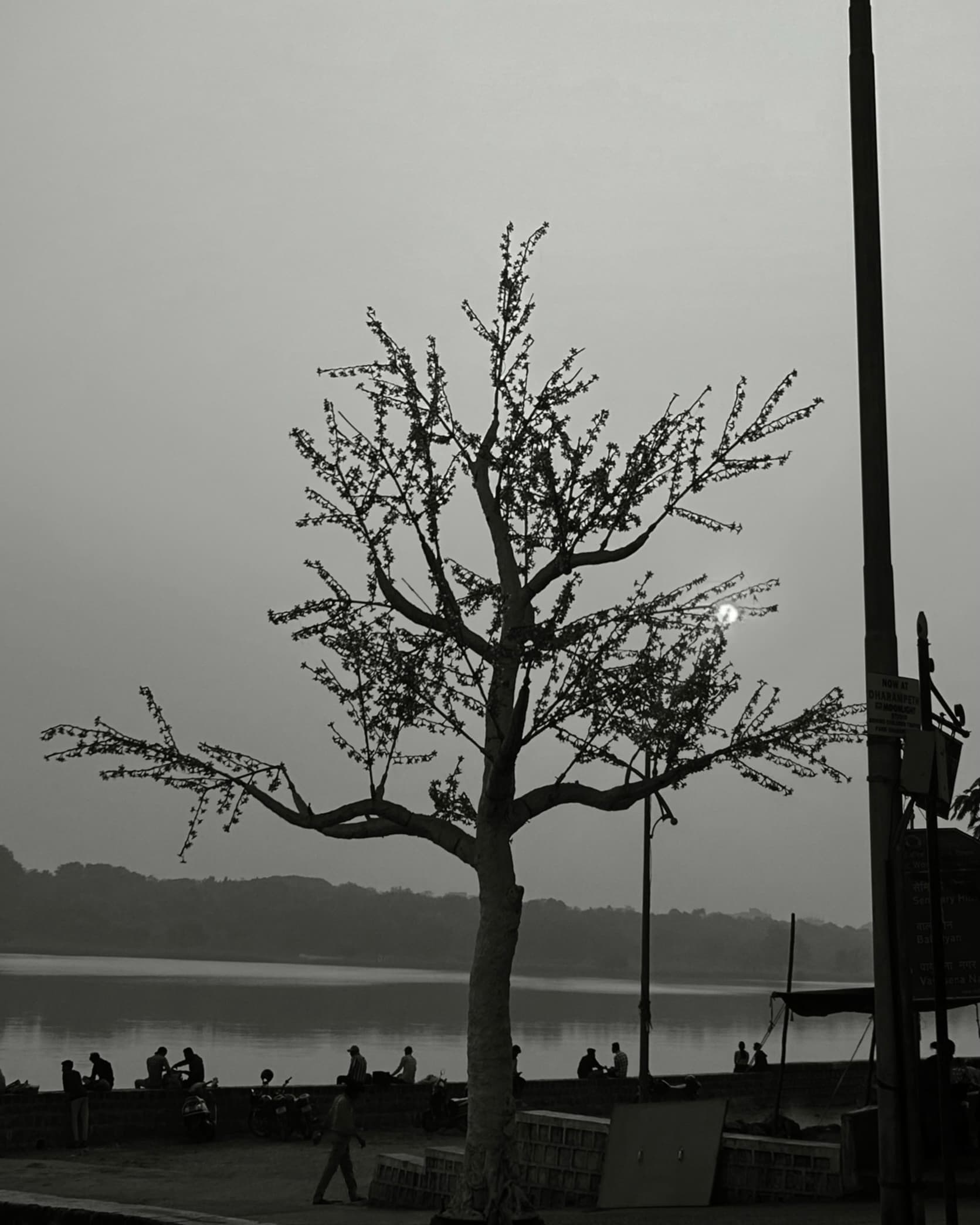 Gallery image 0