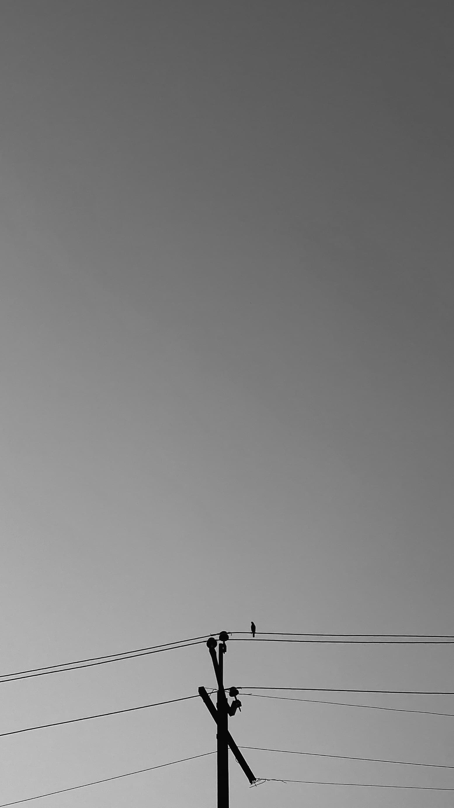 Wallpaper preview 1