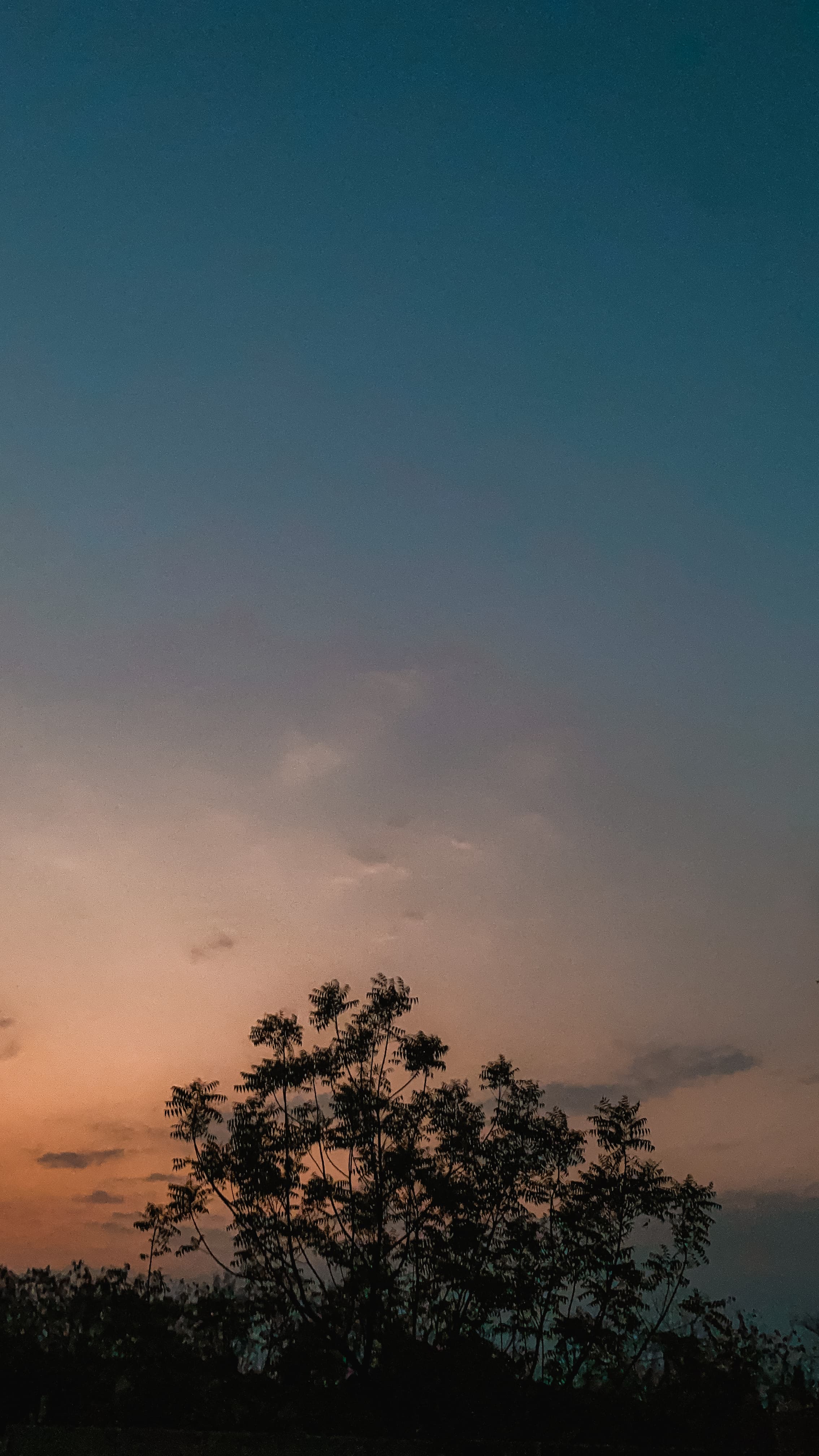 Wallpaper preview 2
