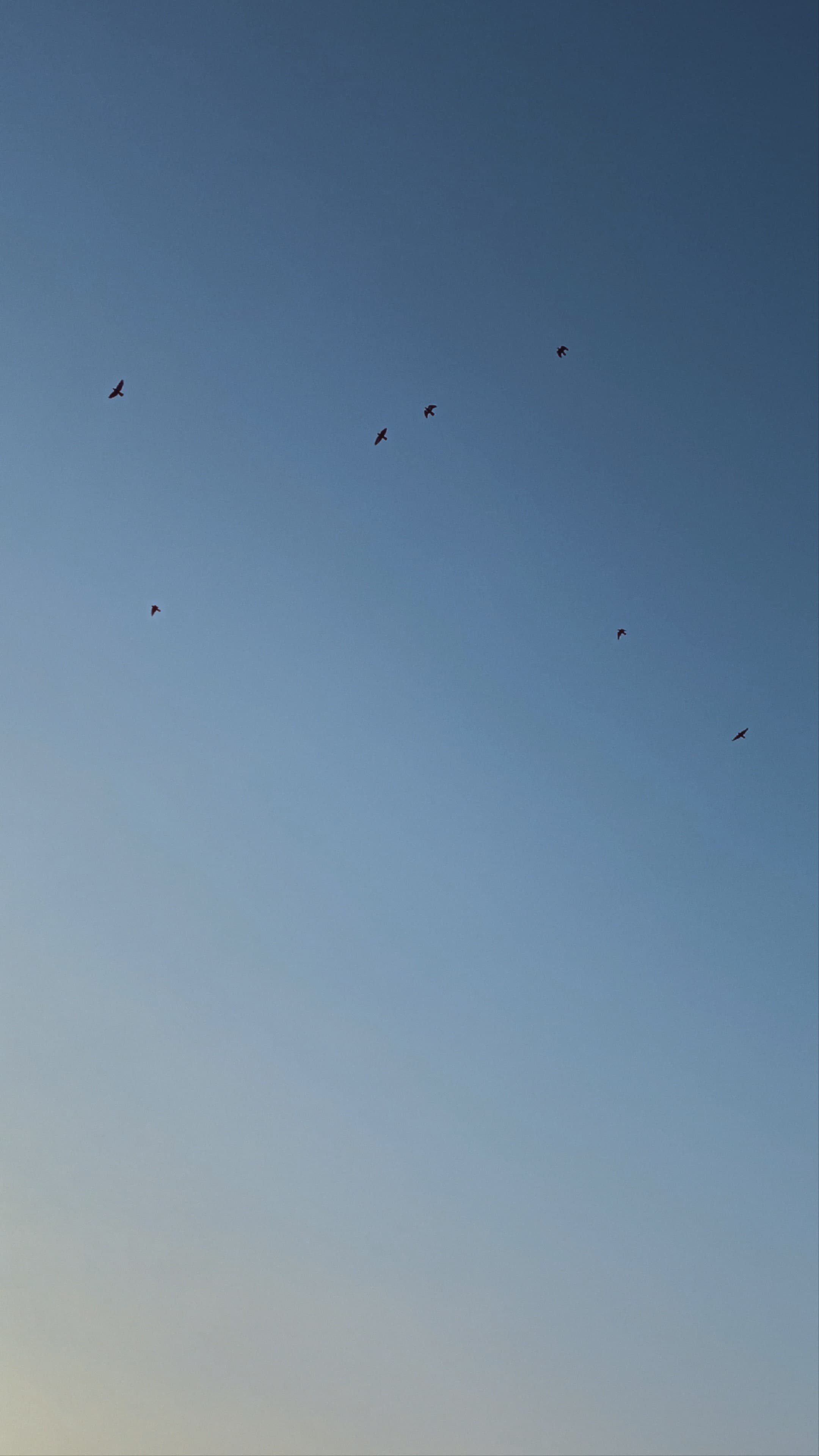 Wallpaper 3