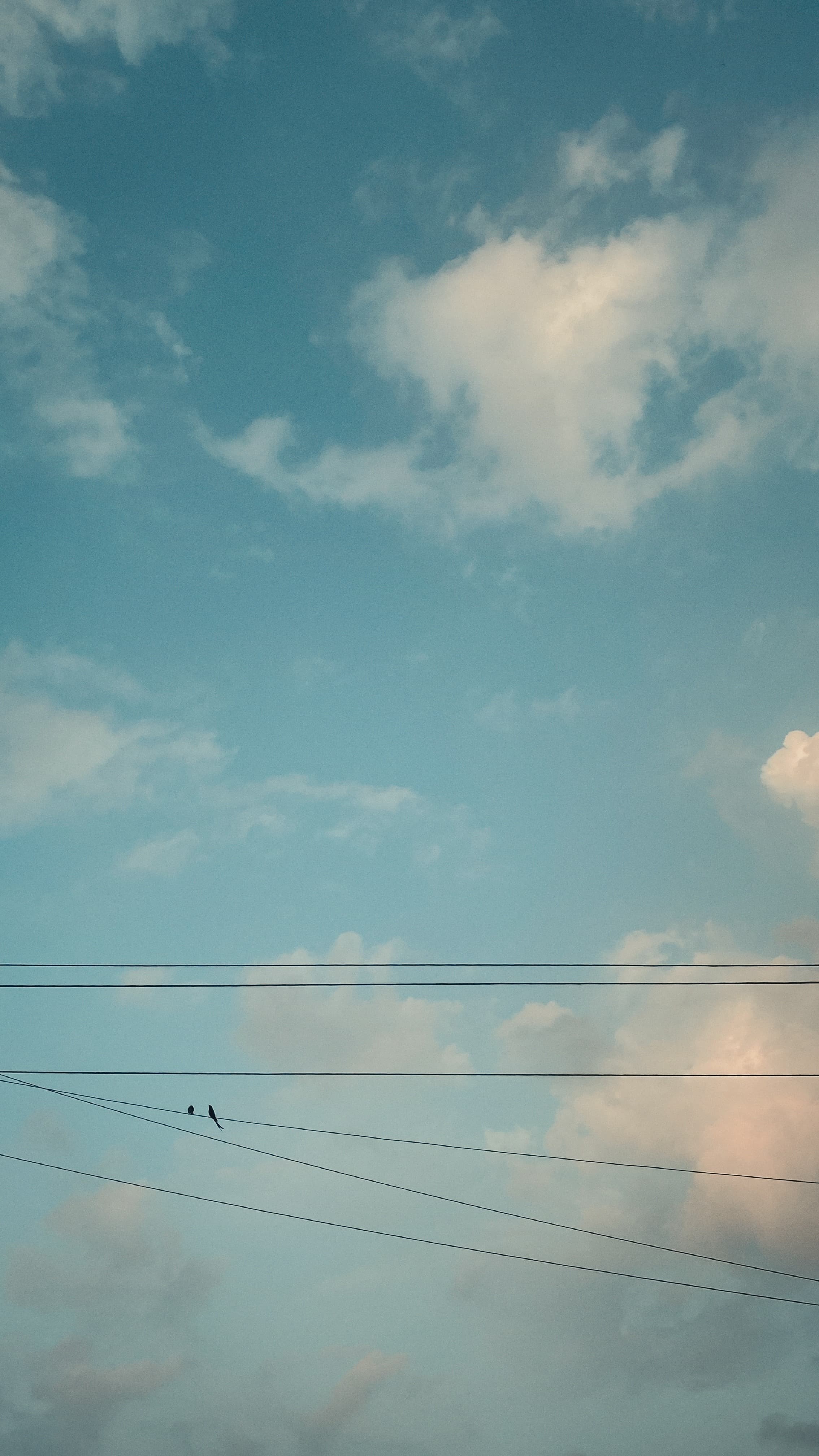 Wallpaper 8